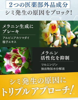 �����I�[���C�������N���[���w�O���X�L���x�ɂ���